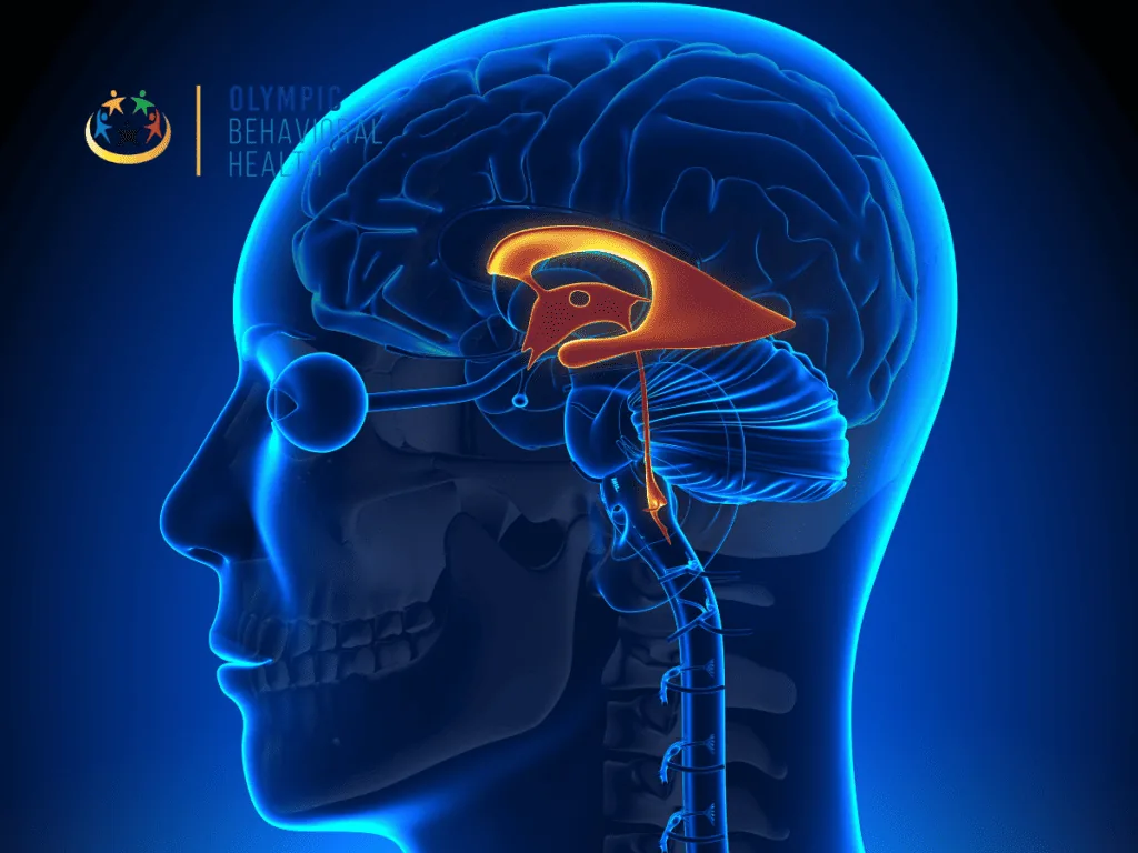 Glowing blue x-ray illustration of a human head with the brain's emotional center highlighted, explaining the amygdala