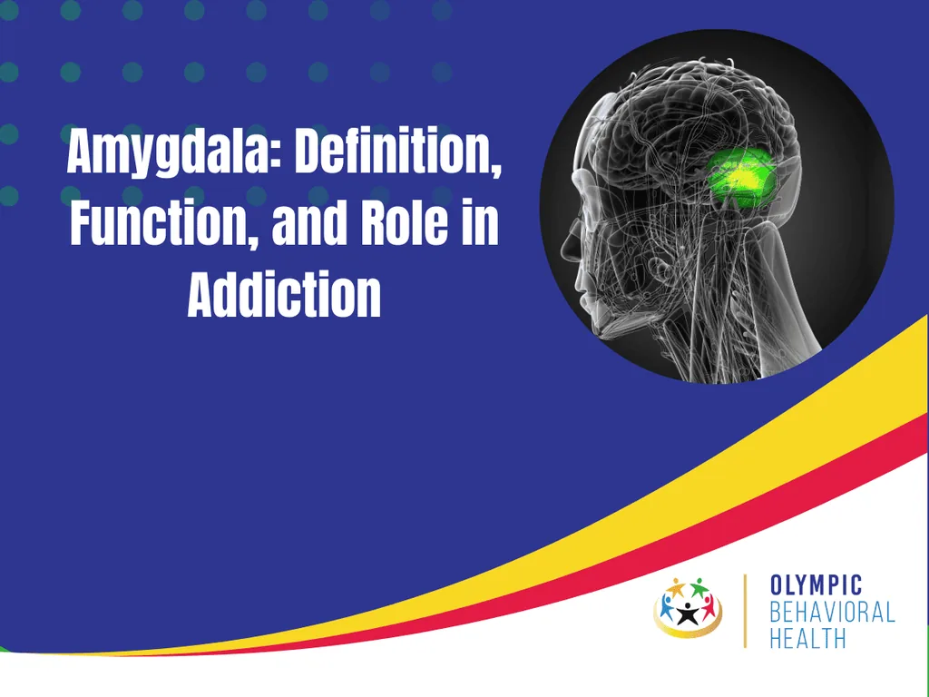 Featured graphic titled Amygdala: Definition, Function, and Role in Addiction with a brain scan highlighting the amygdala
