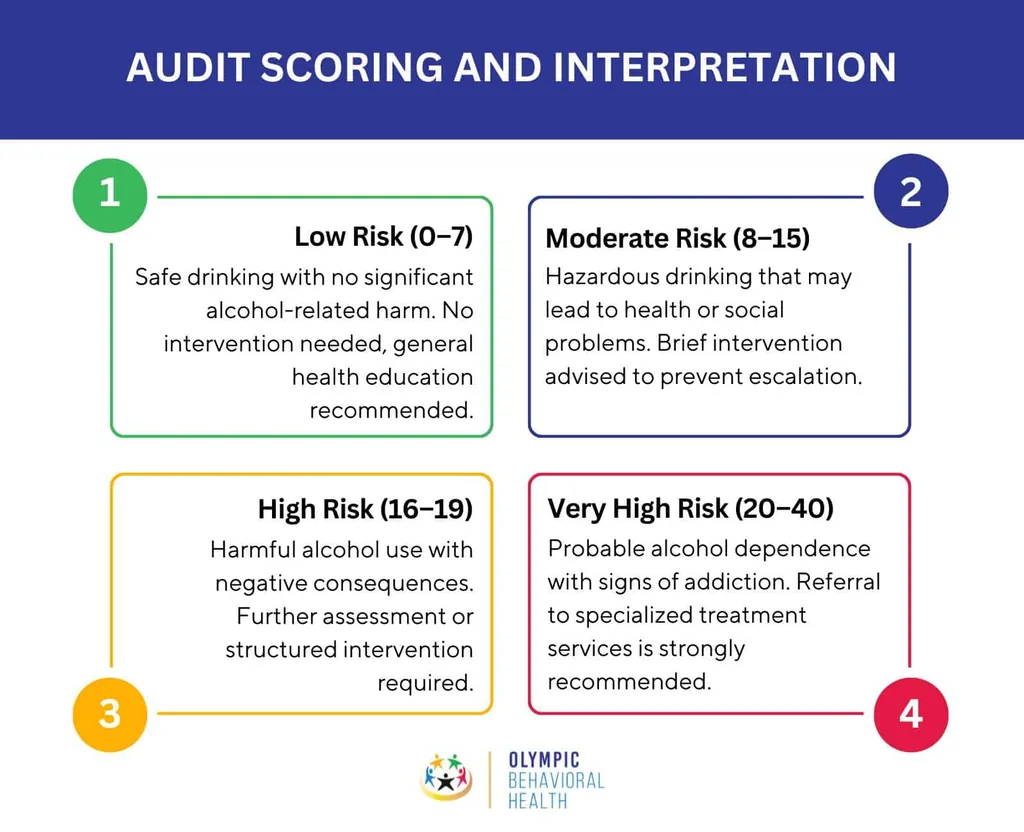 AUDIT scoring chart: low risk 0–7, moderate 8–15, high 16–19 and very high risk 20–40, with recommended next steps