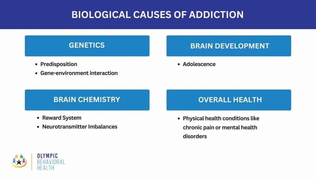 Biological Causes of Addiction chart: genetics, brain development, brain chemistry and overall health