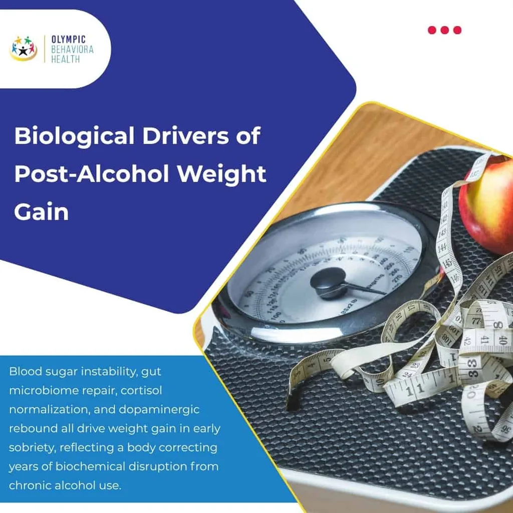 Biological Drivers of Post-Alcohol Weight Gain graphic with a scale, tape measure and apple