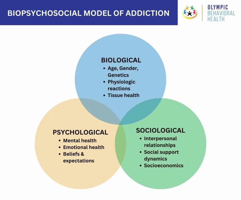 Biopsychosocial Model of Addiction Venn diagram linking biological, psychological and sociological factors