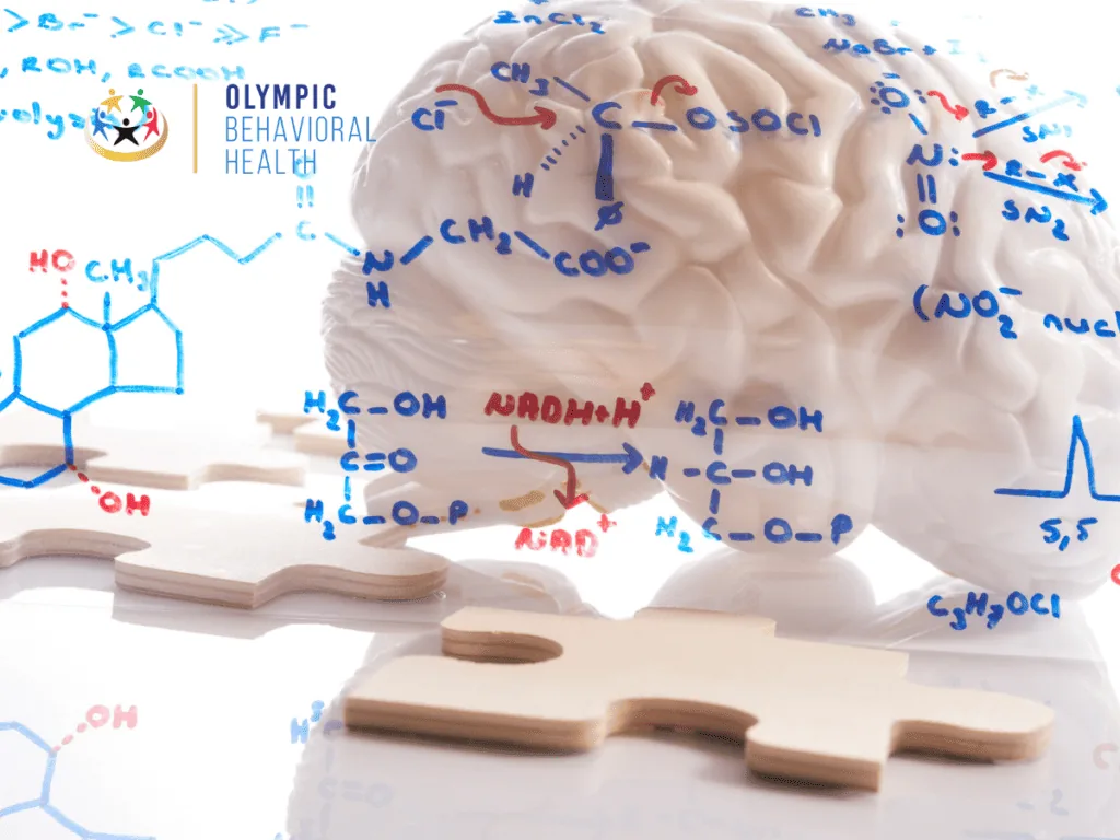 Brain model surrounded by handwritten chemical formulas and puzzle pieces, showing how brain chemistry works
