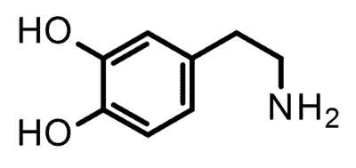 Skeletal chemical structure of dopamine showing two hydroxyl groups and an amine group, explaining what dopamine is