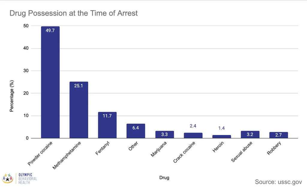Bar chart of drug possession at time of arrest: powder cocaine 49.7%, methamphetamine 25.1%, fentanyl 11.7%; ussc.gov