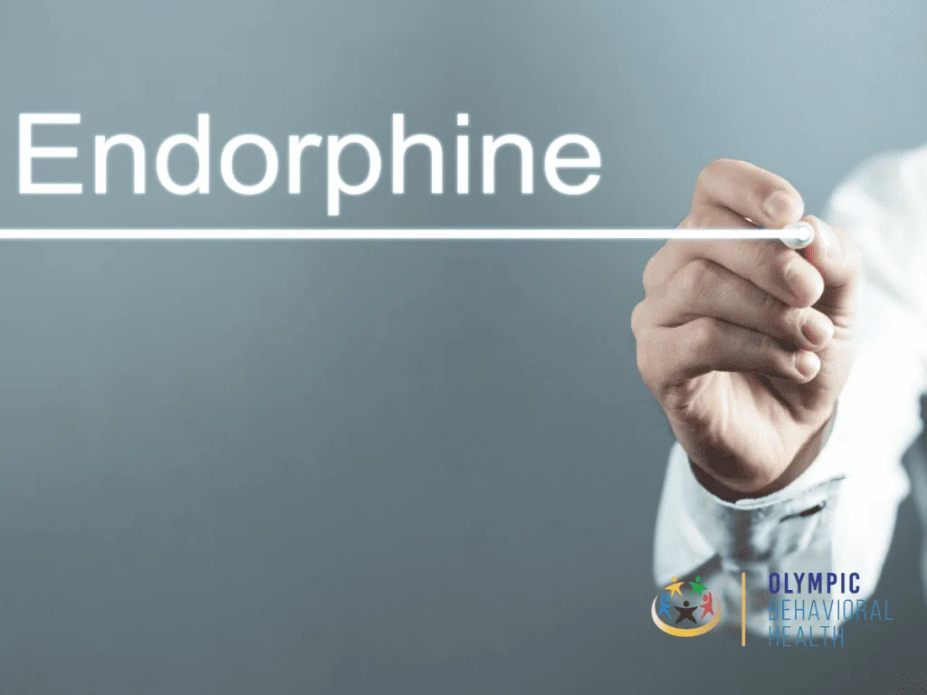 Hand writing the word Endorphine on a glass board, introducing the functions of endorphins in the body