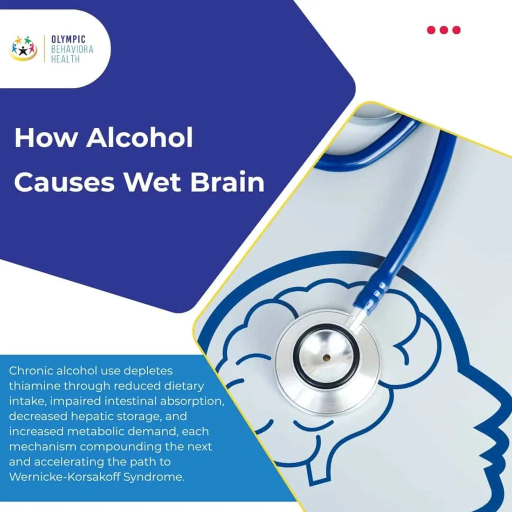 How Alcohol Causes Wet Brain: chronic drinking depletes thiamine, leading toward Wernicke-Korsakoff syndrome