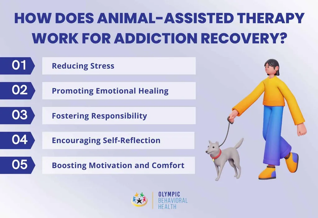 How animal-assisted therapy works for addiction recovery: reducing stress, emotional healing, responsibility and motivation
