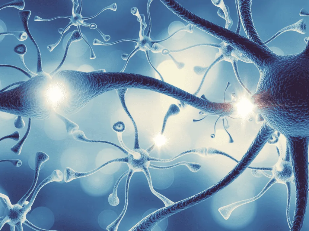 Illustration of glowing neurons with branching dendrites passing signals, showing how neurotransmitters relay messages