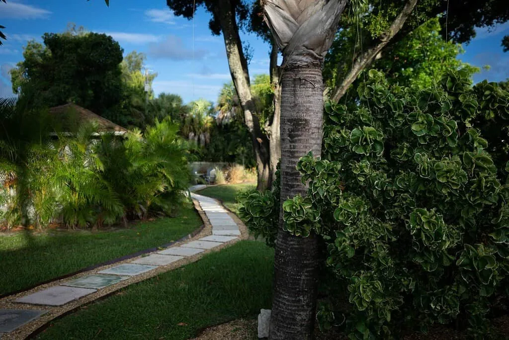 Stone garden path winding past palm trees and tropical shrubs on the Olympic Behavioral Health grounds