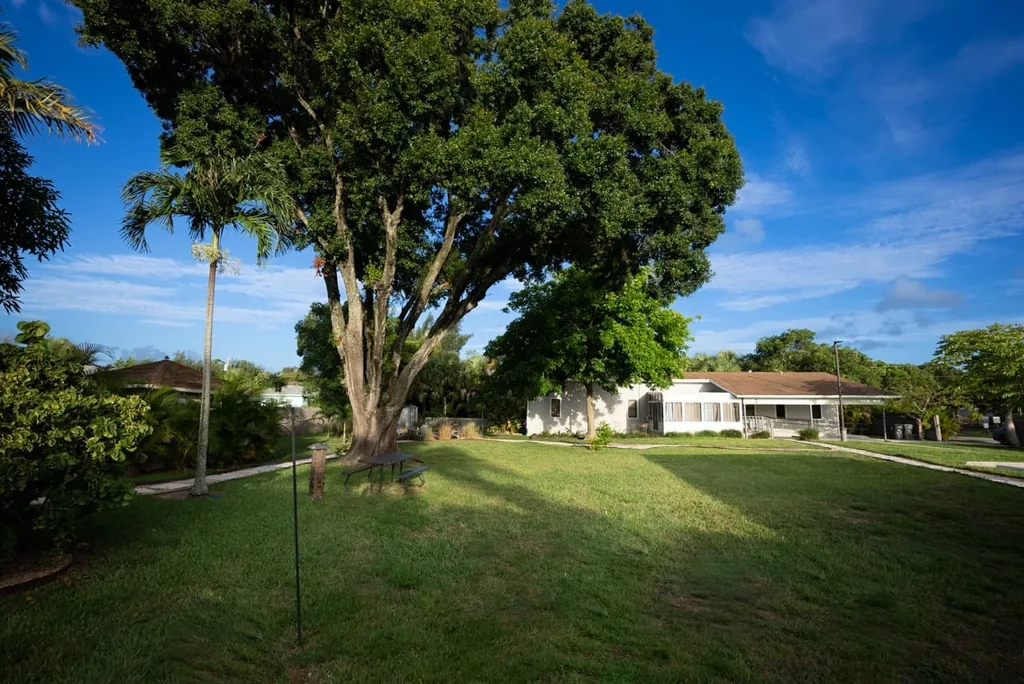 Wide lawn with a large shade tree and the white Olympic Behavioral Health building at 3618 Lantana Road in the distance