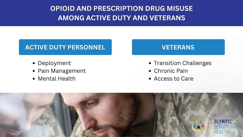 Opioid and Prescription Drug Misuse Among Active Duty and Veterans chart: deployment, pain, transition challenges