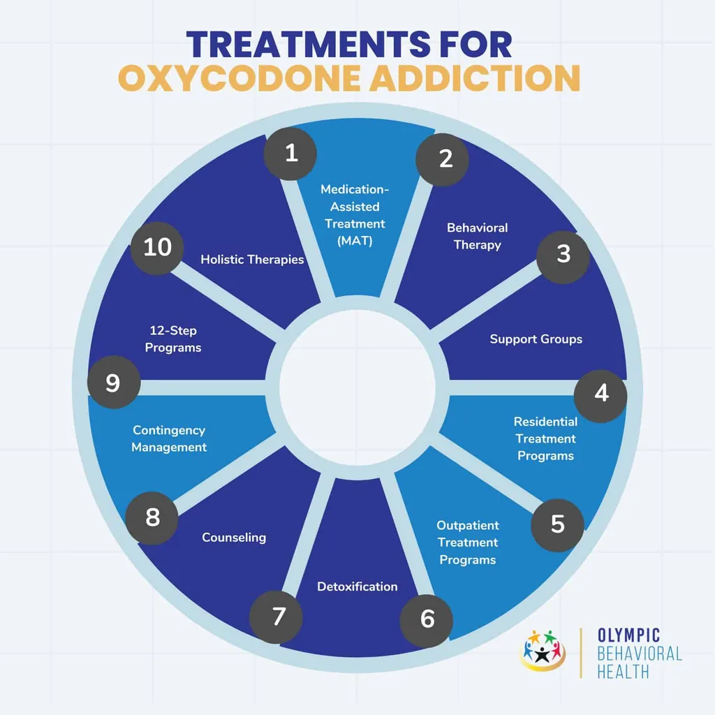 Wheel of ten oxycodone addiction treatments, including MAT, behavioral therapy, detox, outpatient programs and 12-step