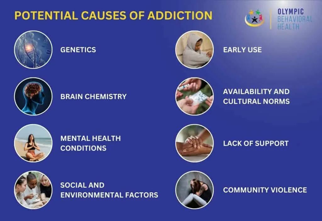 Potential Causes of Addiction: genetics, brain chemistry, mental health, early use, lack of support, community violence