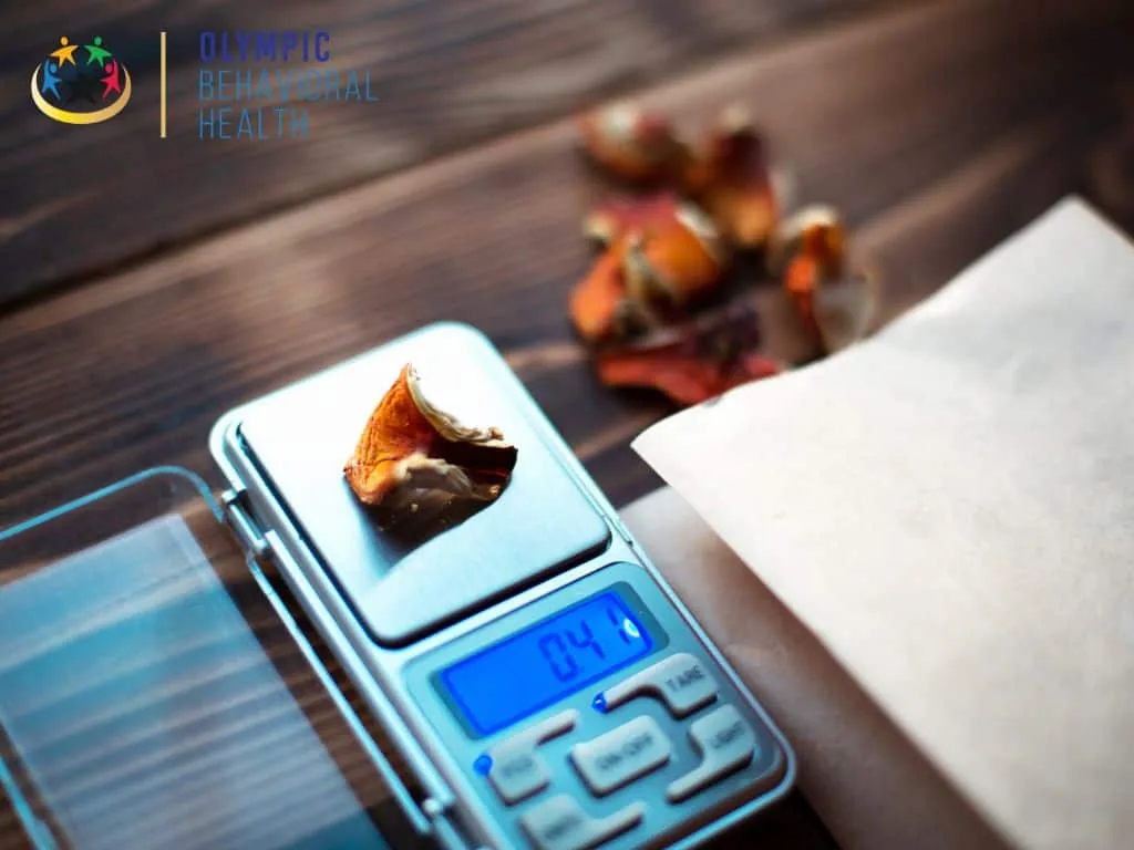 Dried psilocybin mushroom on a digital scale, illustrating hallucinogenic substances and whether they are addictive