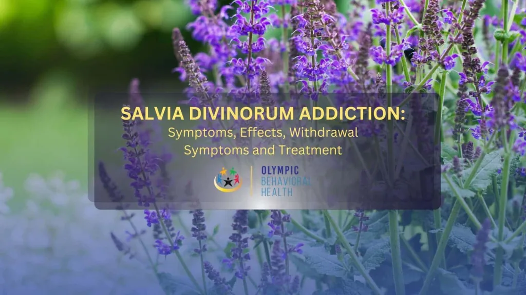 Salvia Divinorum Addiction: Symptoms, Effects, Withdrawal and Treatment title over purple salvia flowers