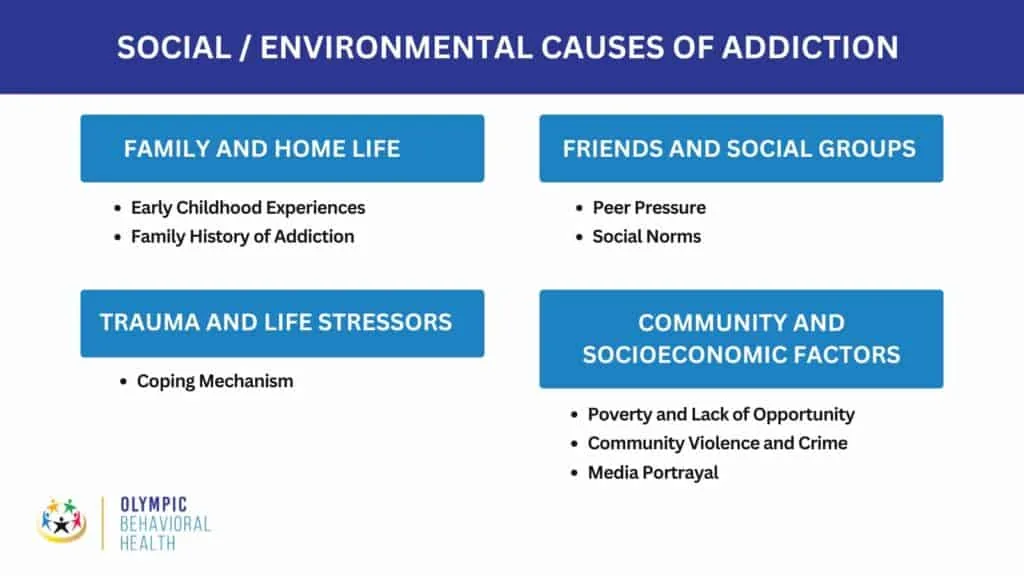 Social / Environmental Causes of Addiction chart: family life, peer groups, trauma and socioeconomic difficulties