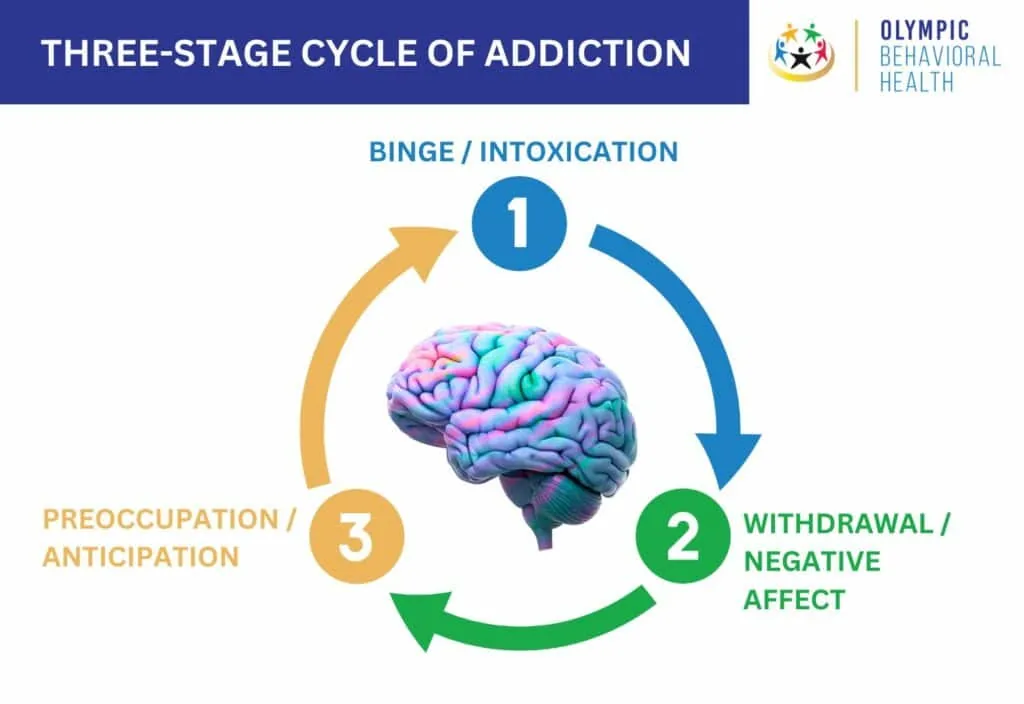 Three-Stage Cycle of Addiction diagram: binge/intoxication, withdrawal/negative affect, preoccupation/anticipation