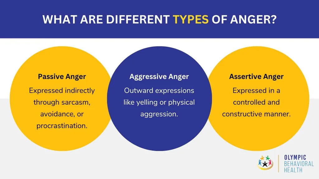 Types of anger infographic: passive anger, aggressive anger and assertive anger, each with a short description