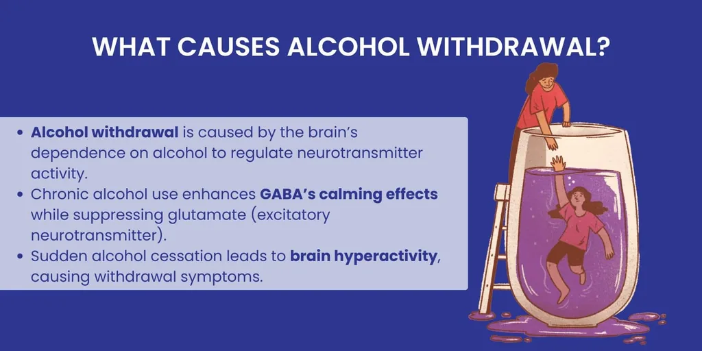What causes alcohol withdrawal: brain dependence on alcohol, GABA and glutamate changes, and brain hyperactivity on quitting