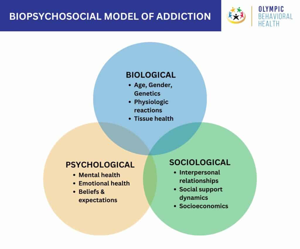 Causes of Addiction: Biopsychosocial Model, Personality Theories and Neuropsychology